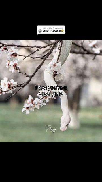 @Pixy🍀 (Crashing Out version)