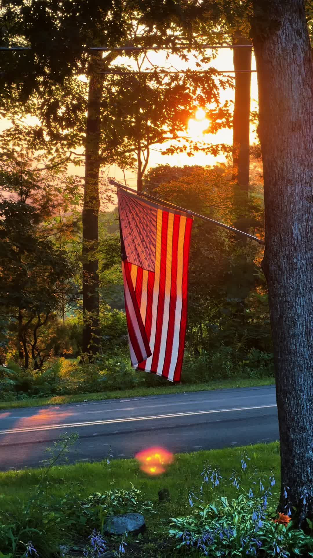 @That2fiddy🇺🇸