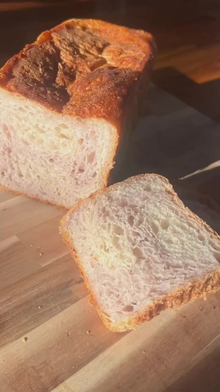 @SourDoughBrooo