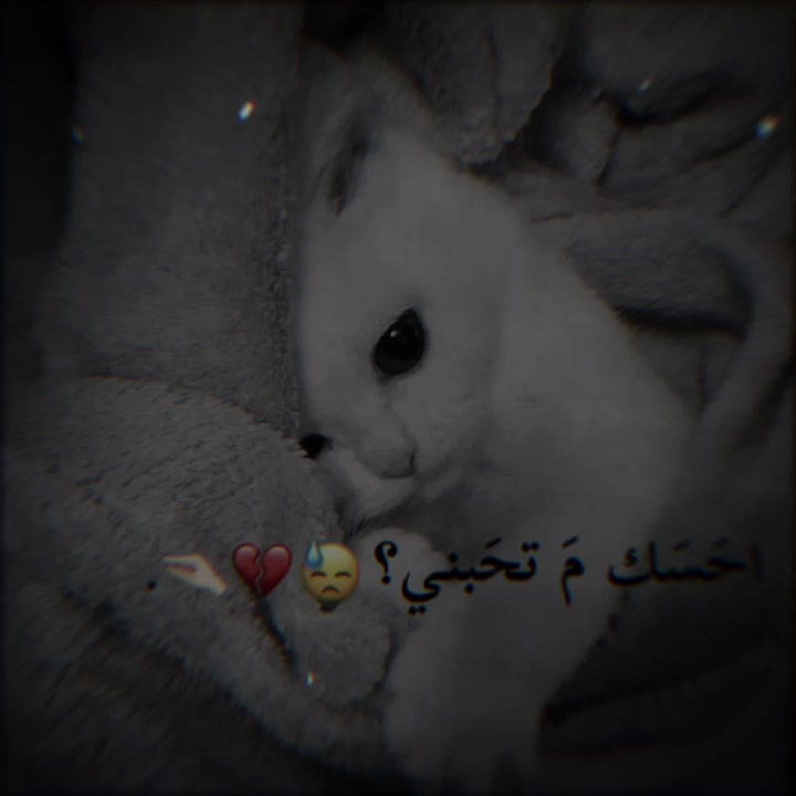 @الہَِ حمووشة|🖤؟.