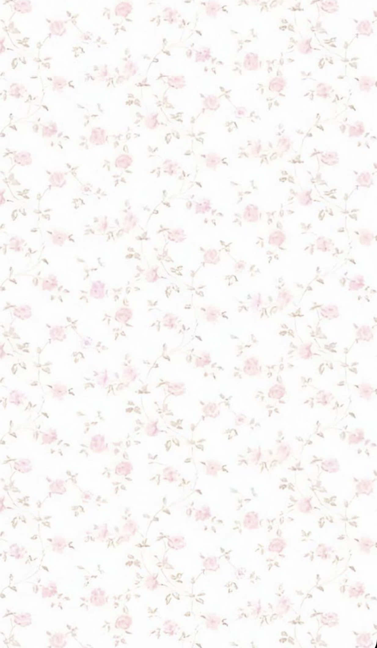 @𝒢𝒶𝒷𝓇𝒾𝑒𝓁𝓁𝒶  ❦