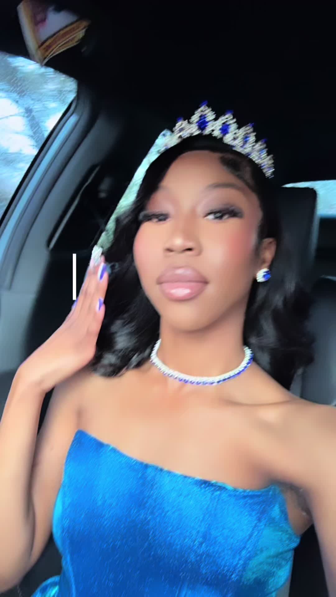 @apiscesdiary