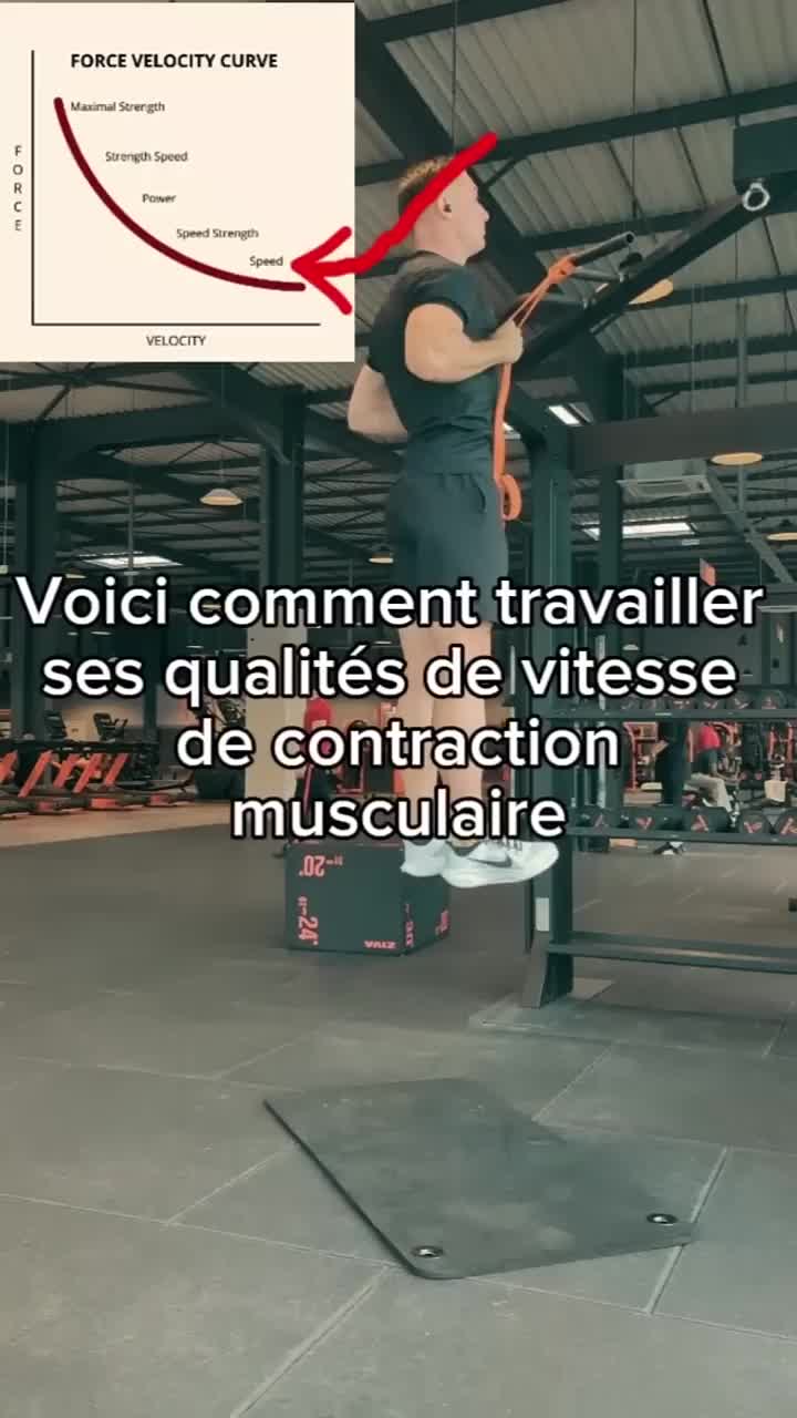 @Sacha Coyaud
