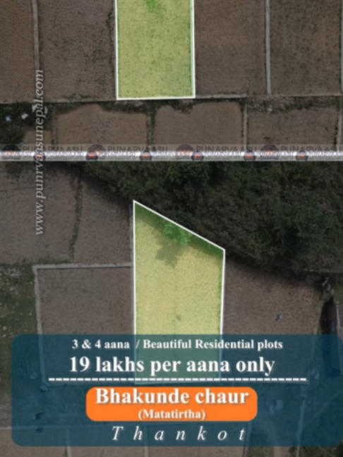 @Punarvaasu Real Estate