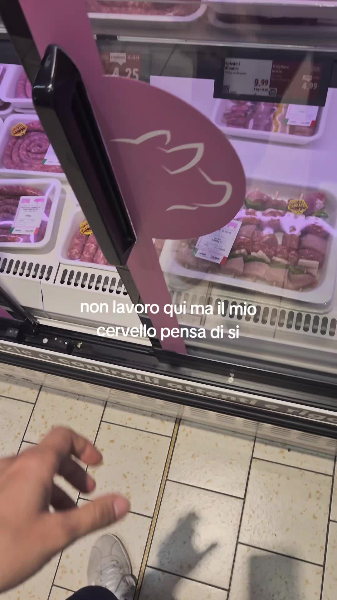 @Shizu
