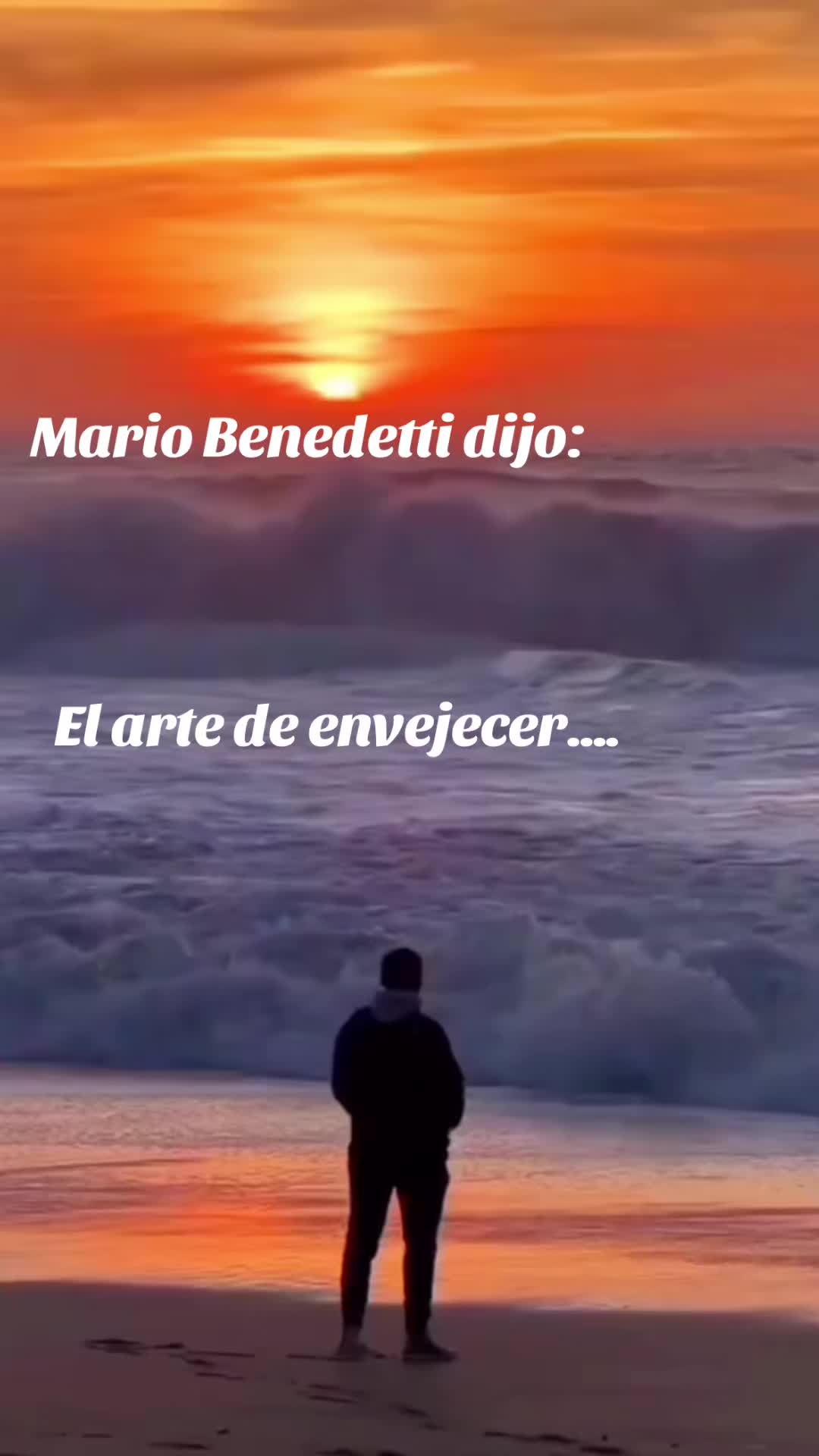 @☪️Carleins♋️