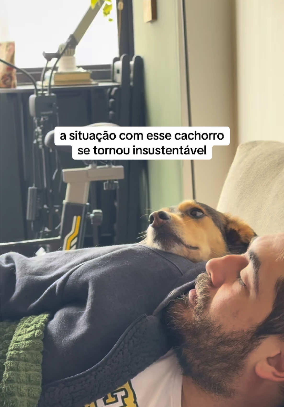 @2DOGSEMEIO