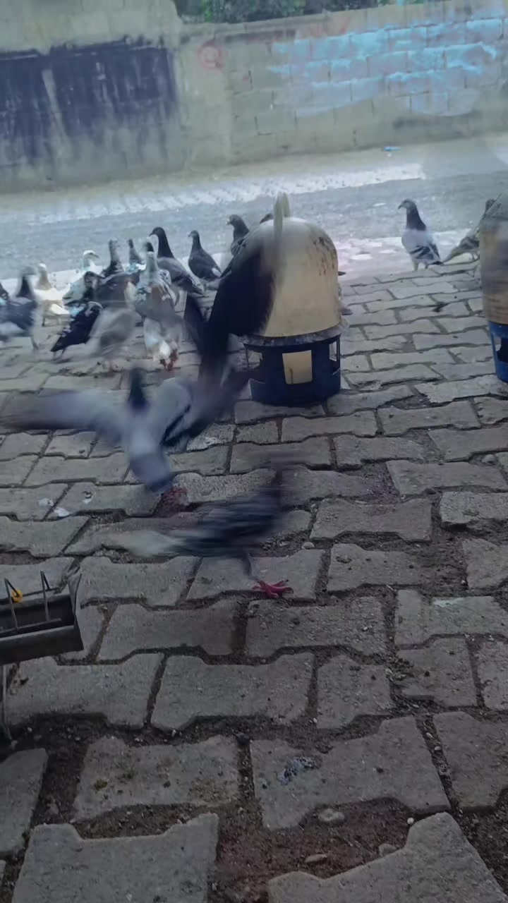 @Okan Kç