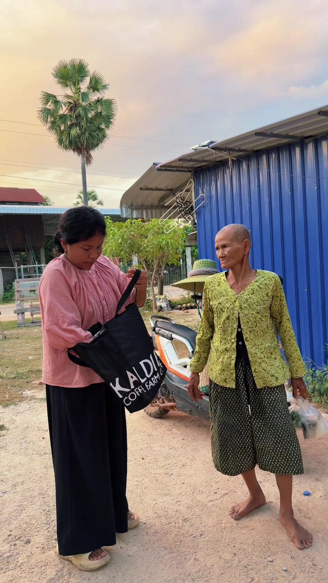 @កូនចាបមាស