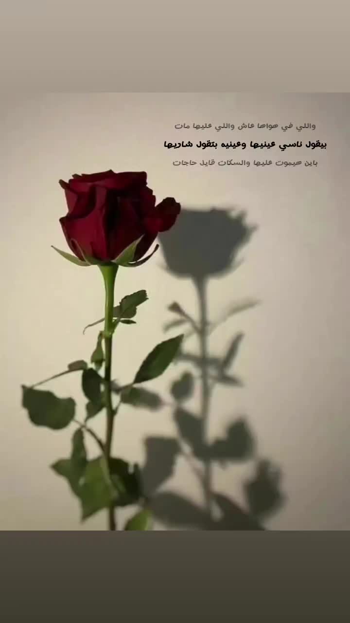 @𝓾𝓮𝓼𝓻😍