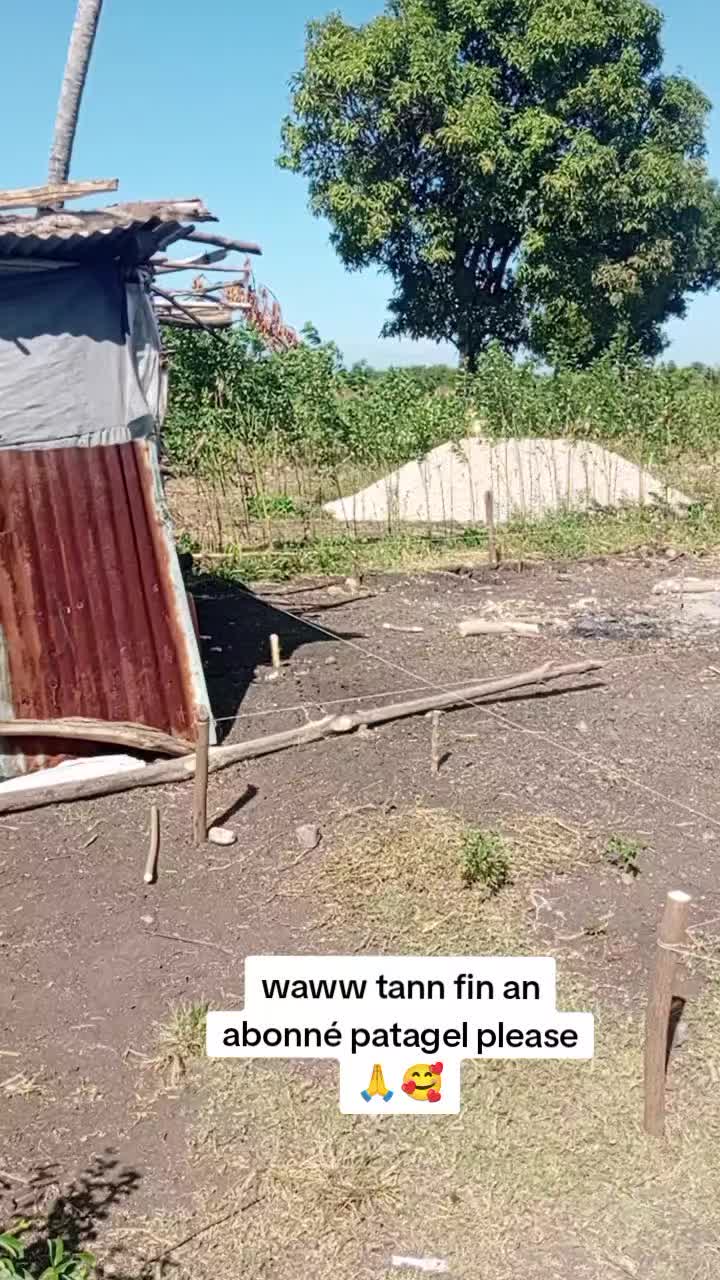 @Dènye lè 🤡