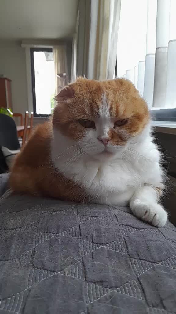 @Anneke & Simba