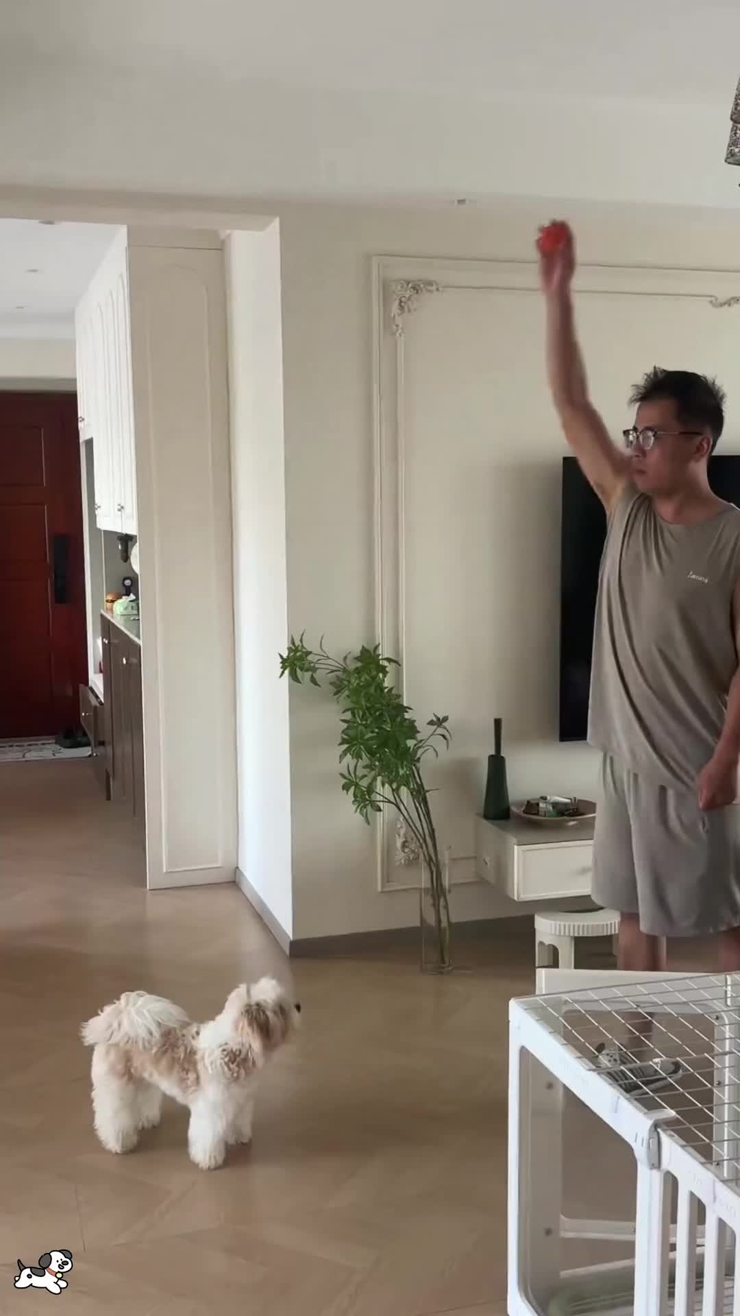 @SneakyFails