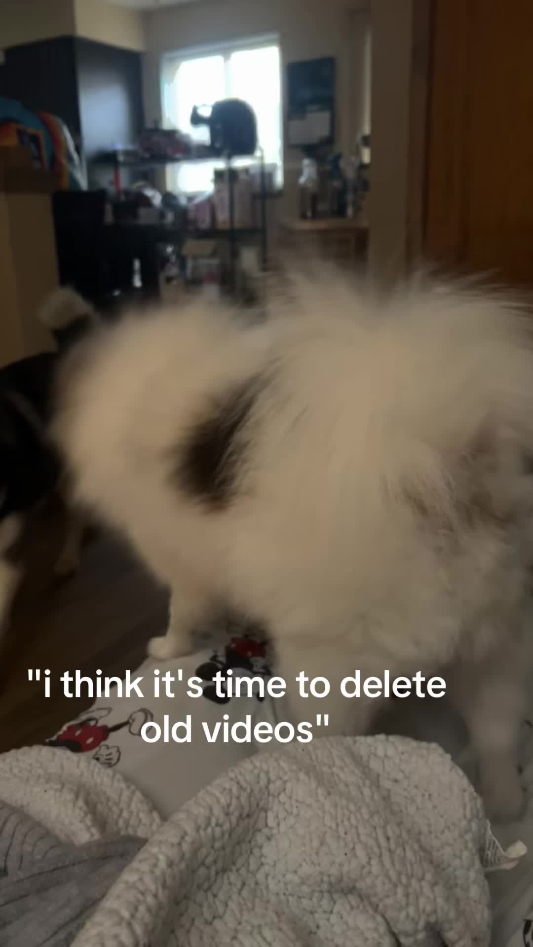 @username6666778889022455