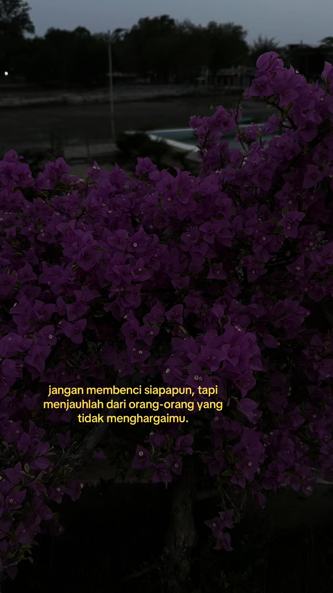 @artupp.