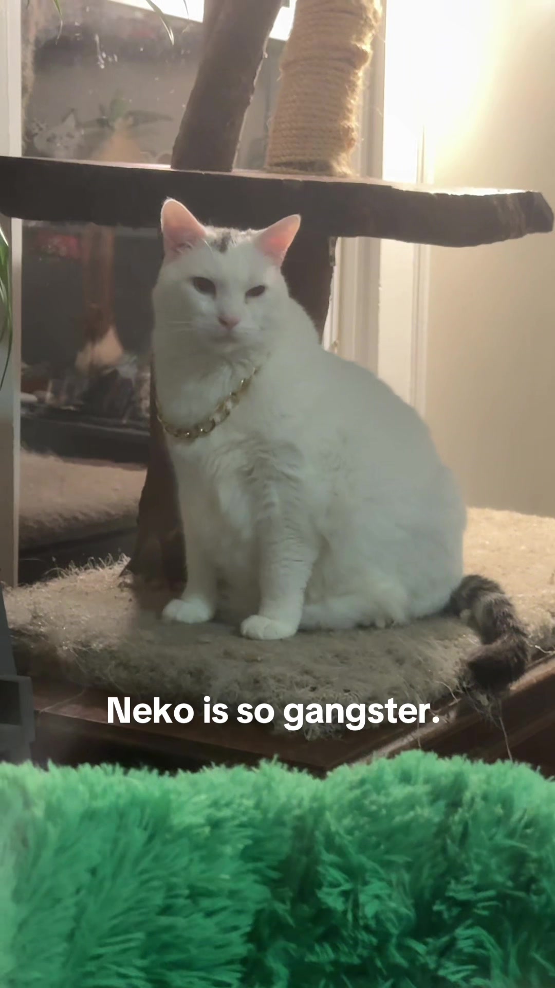 @Kimpossible