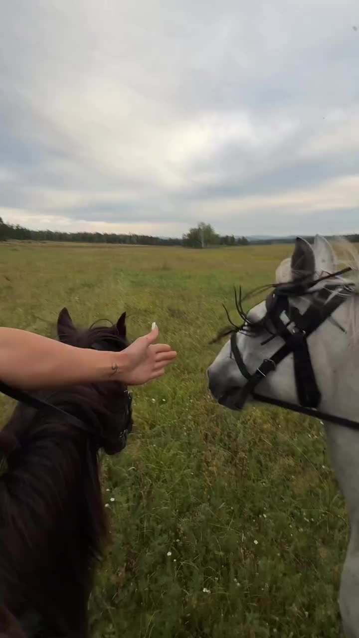 @ThunderGallops
