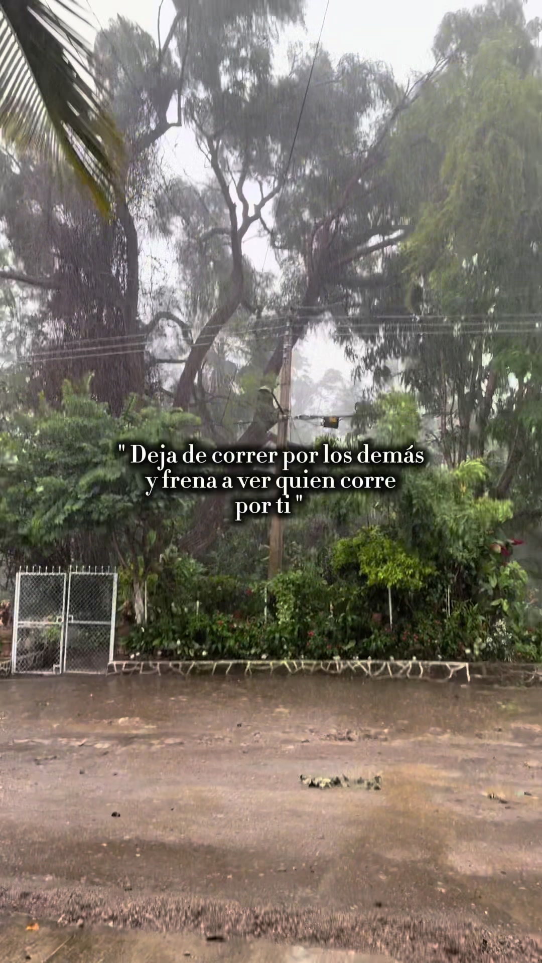@Yucari G&oacute;mez