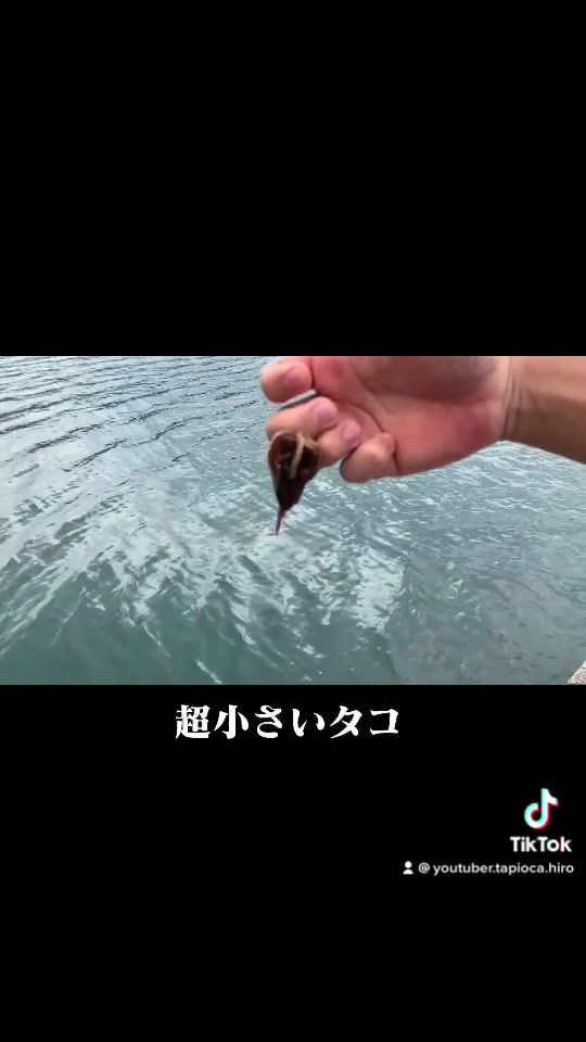 @YouTuberタピオカひろ
