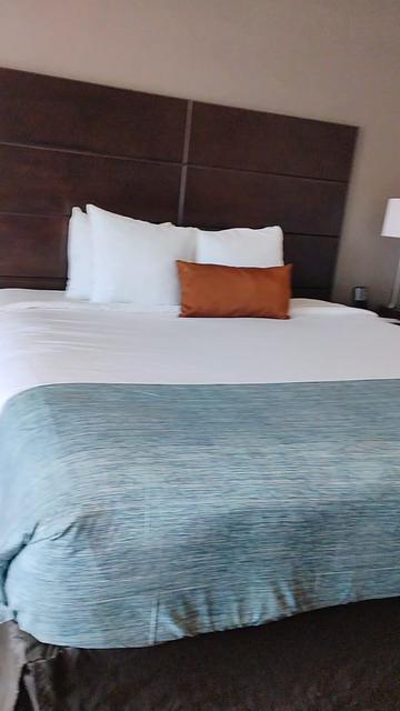 @BELLA_01