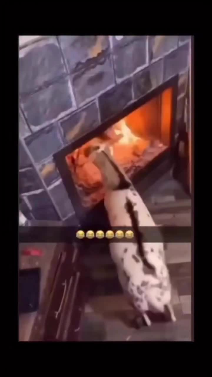 @jsmile101