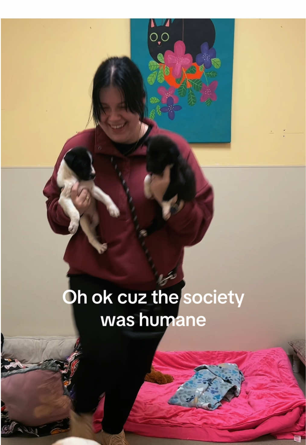 @Lynchburg Humane Society