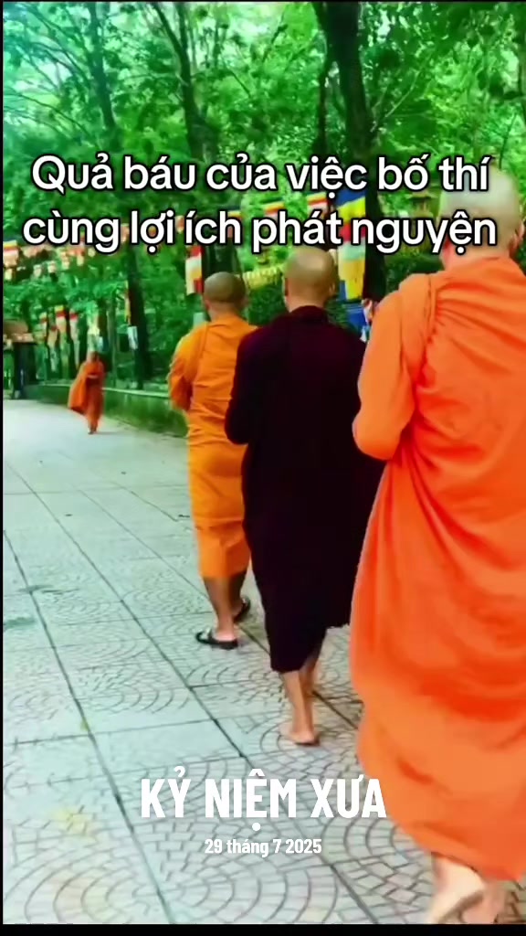 @TK Bảo Ân