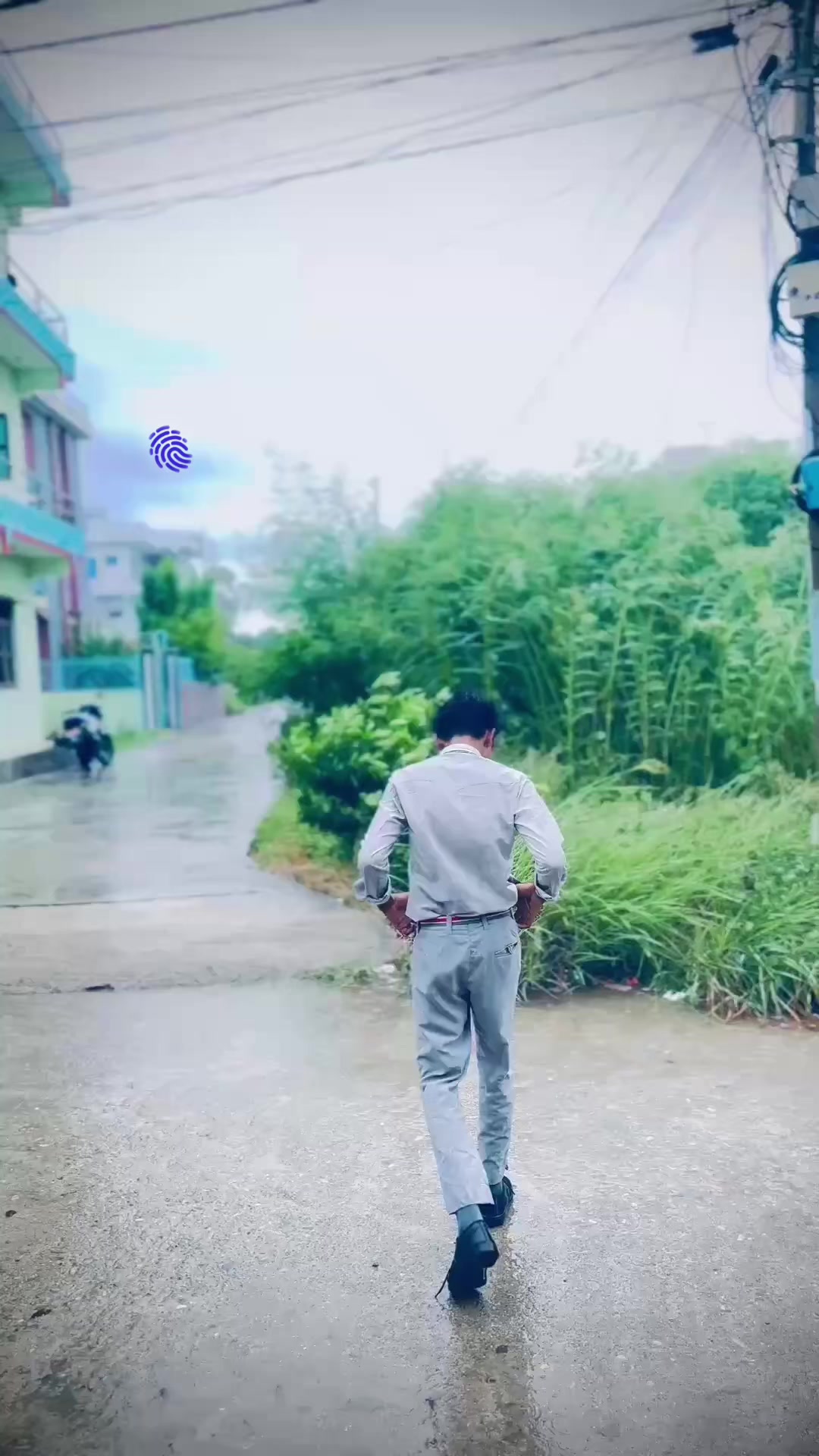 @🍃
