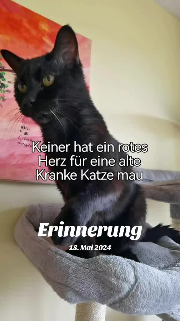 @juli🇩🇪🇺🇸🇷🇺