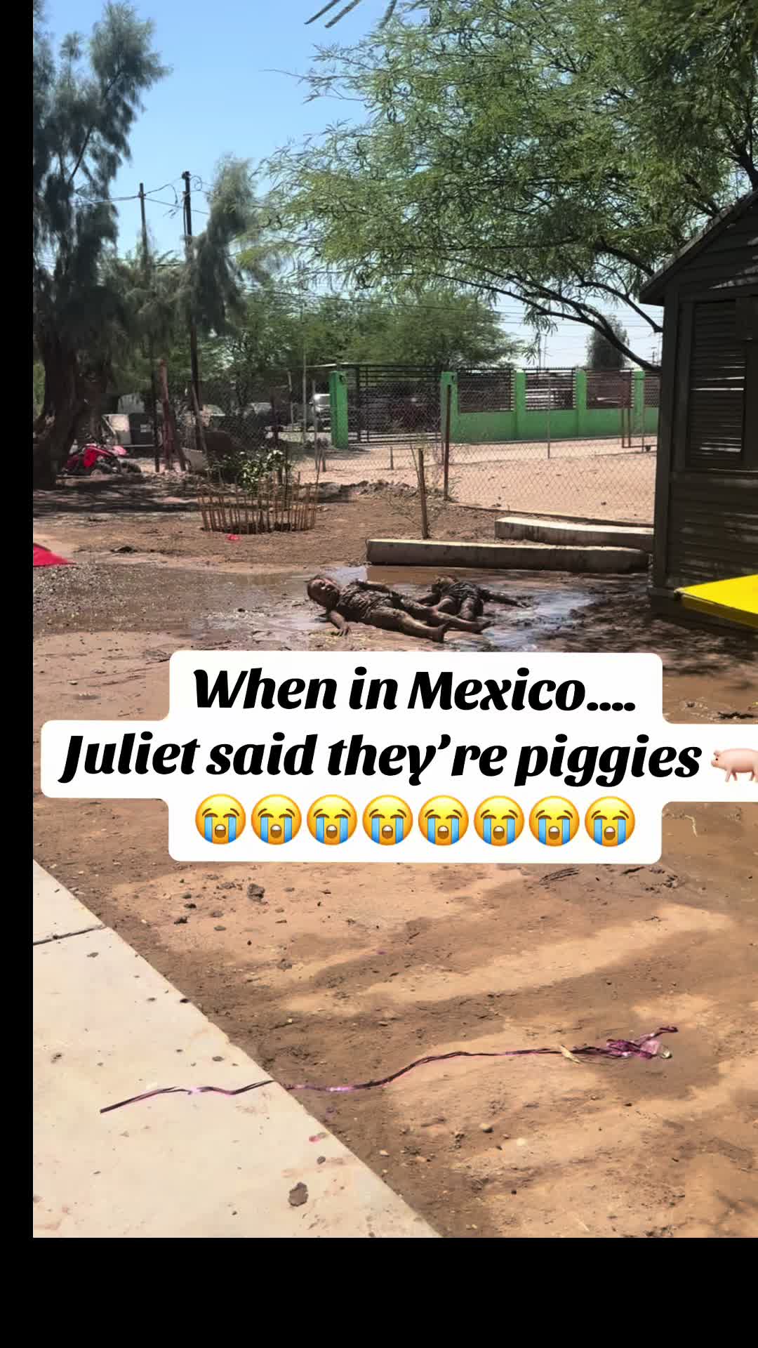 @Janet