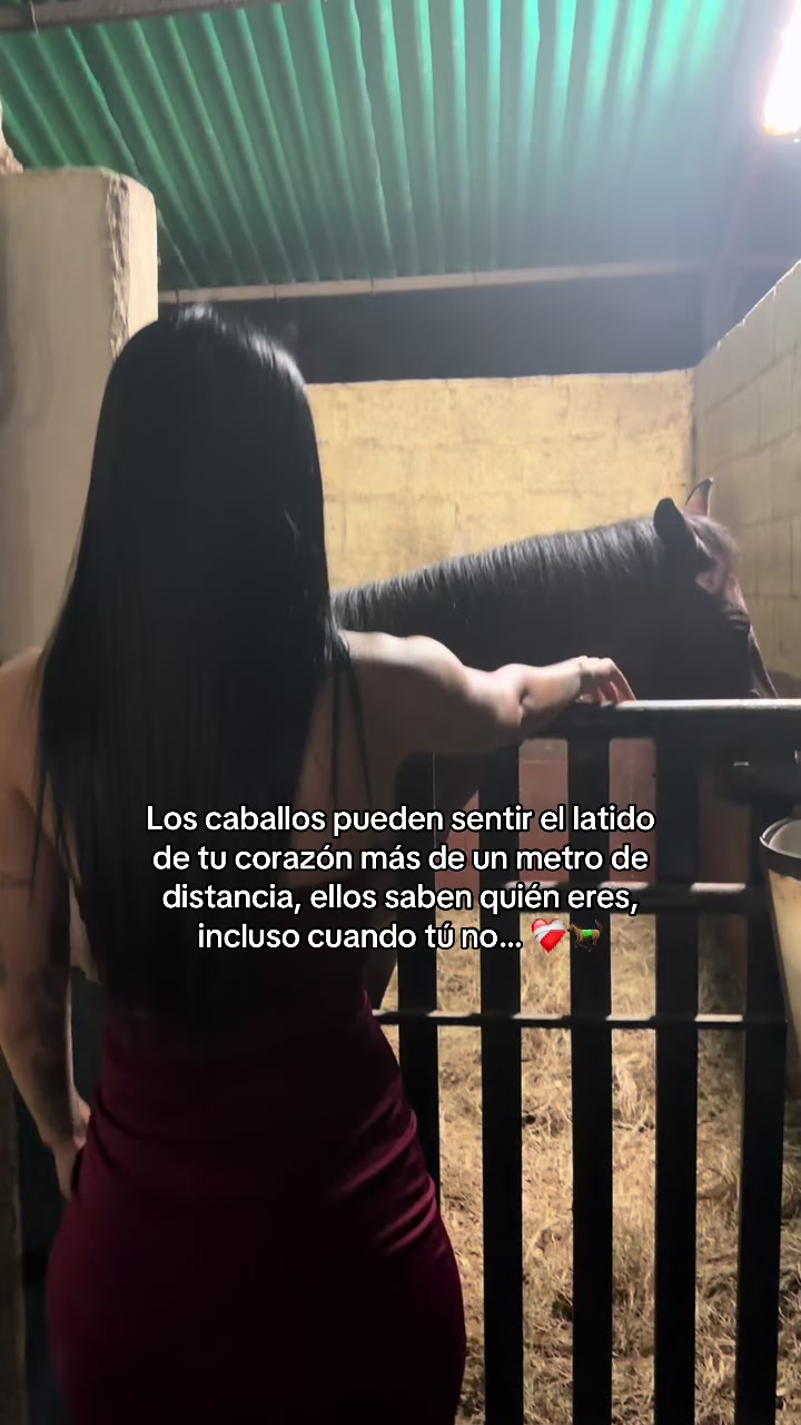 @Elisaag