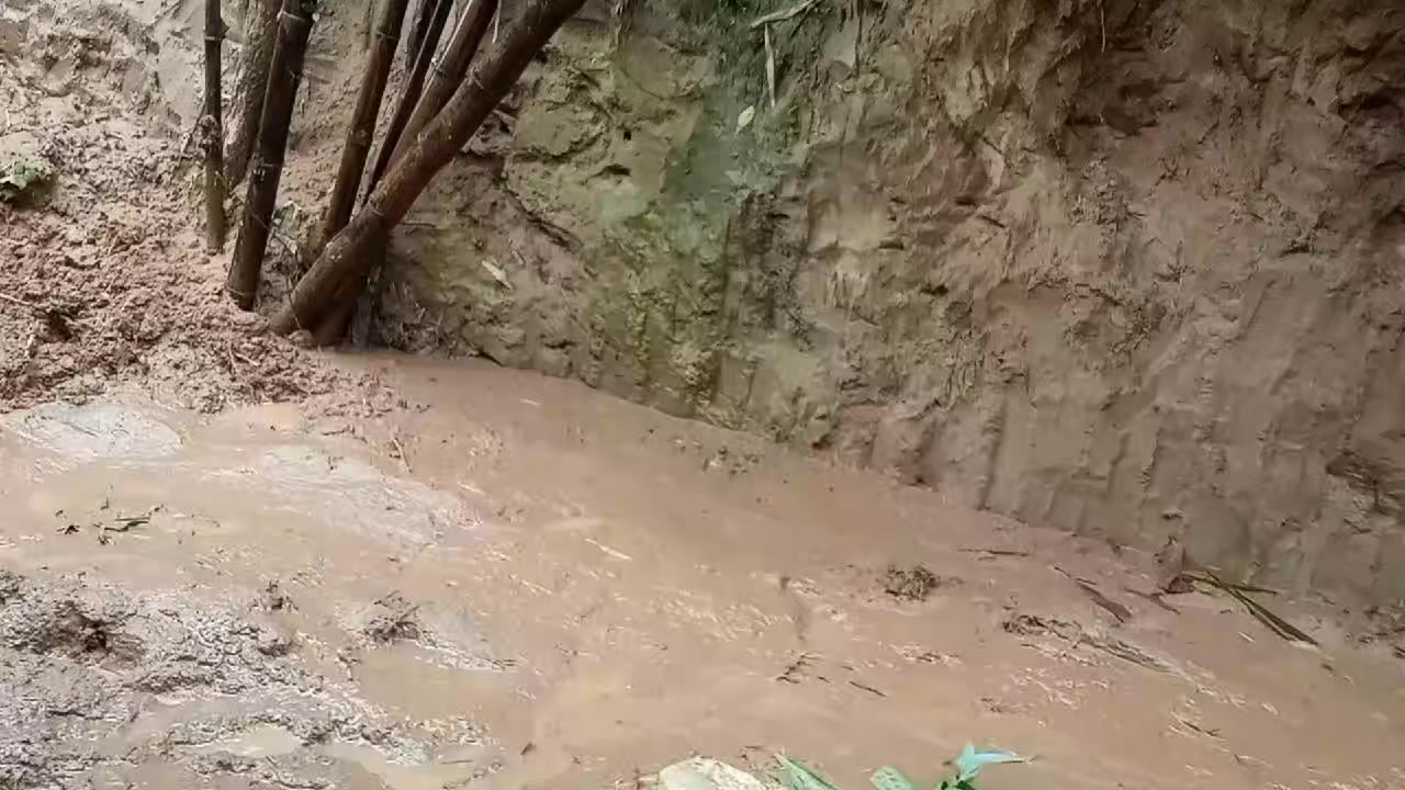 @Rahul Karmakar