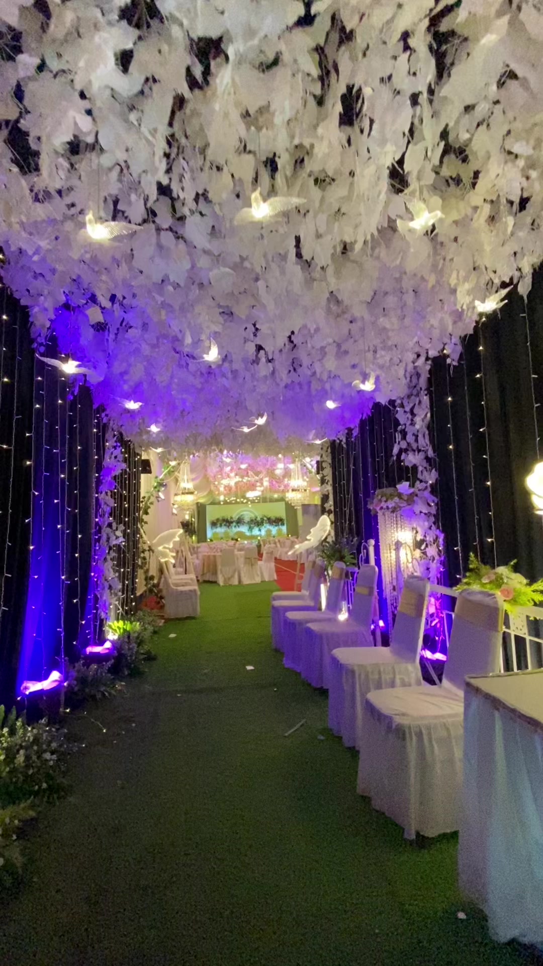 @Hany Tenda Decoration