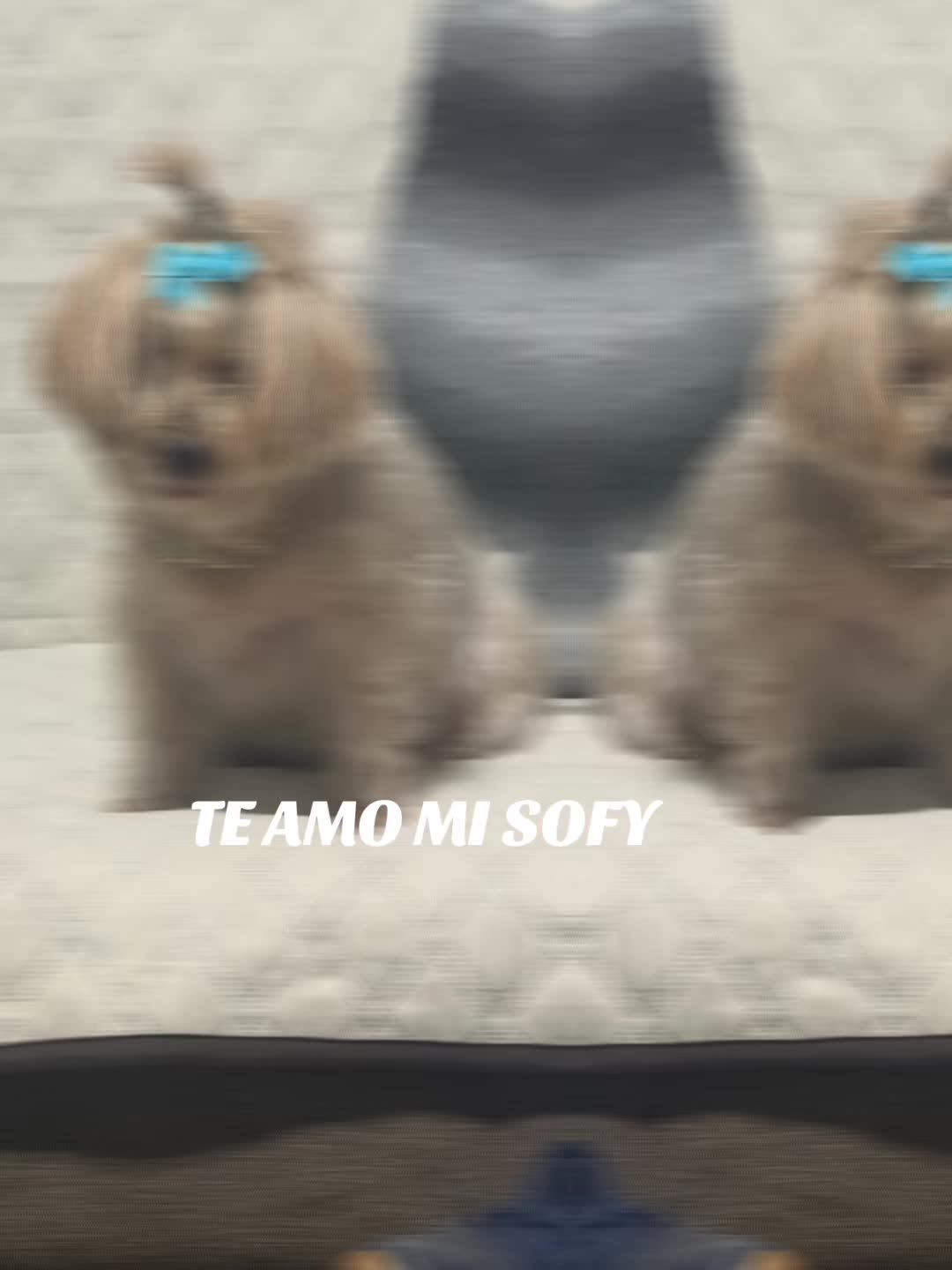 @Rocio Fern&aacute;ndez