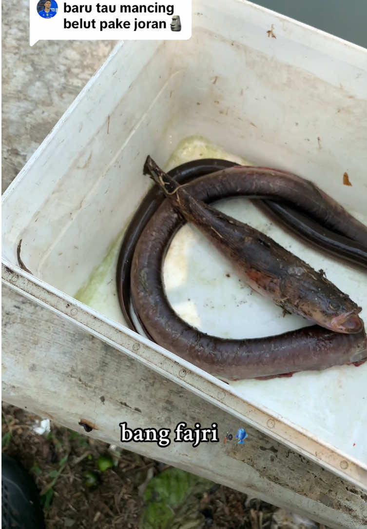 @Bang Fajri 🎣