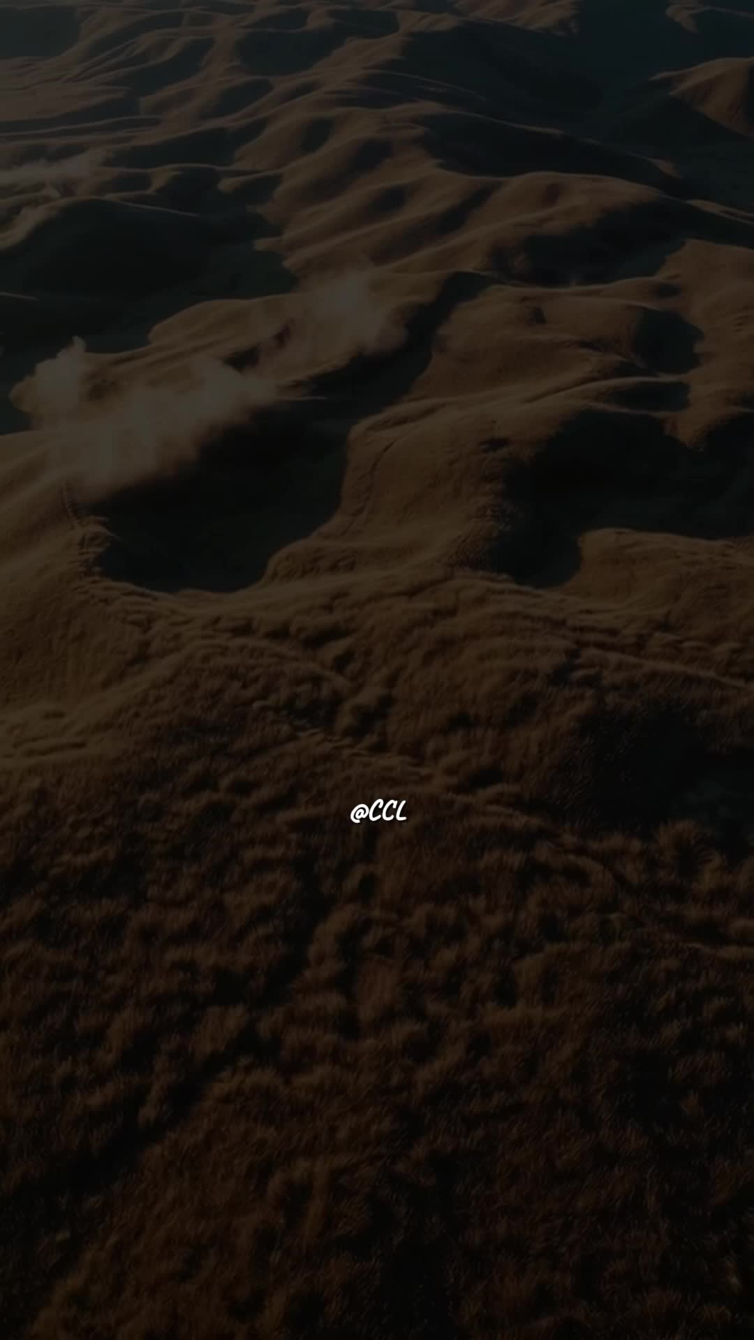 @SonicFlow