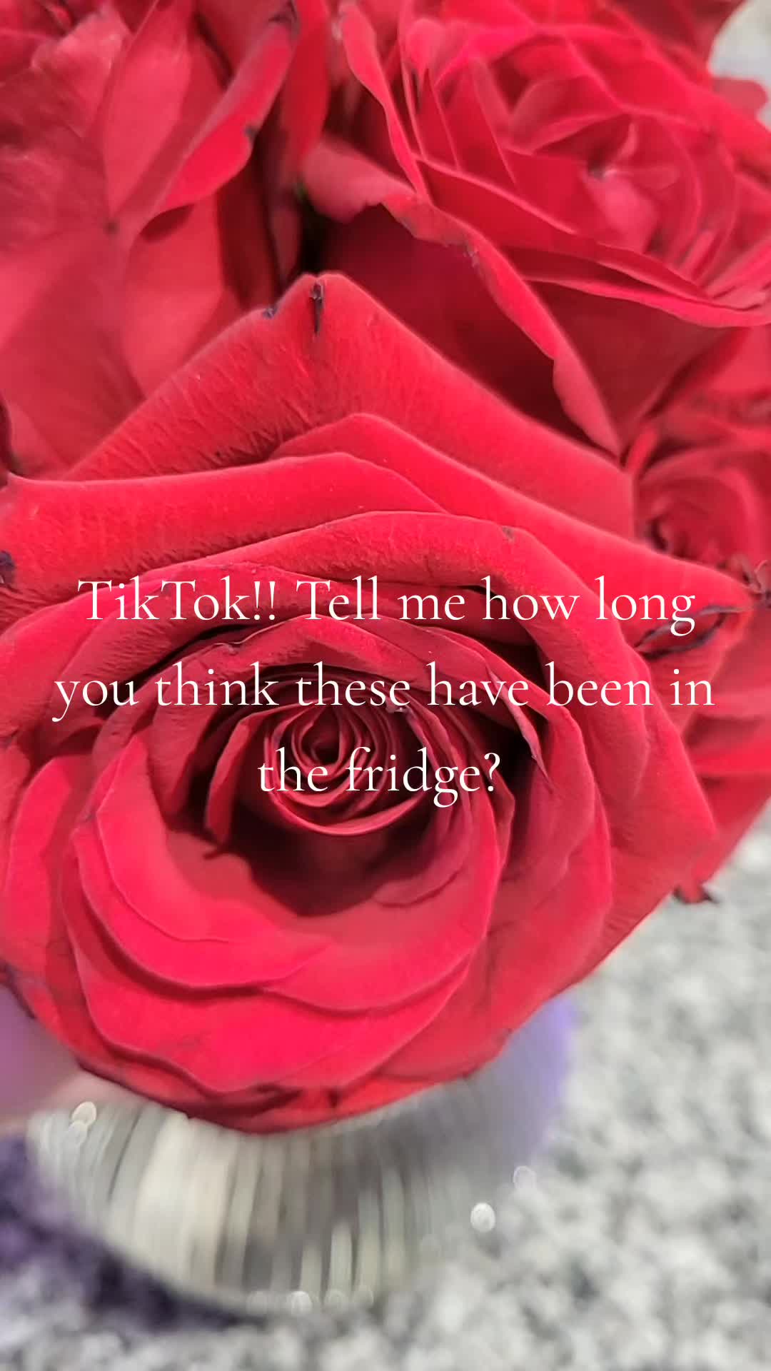 @Audrey