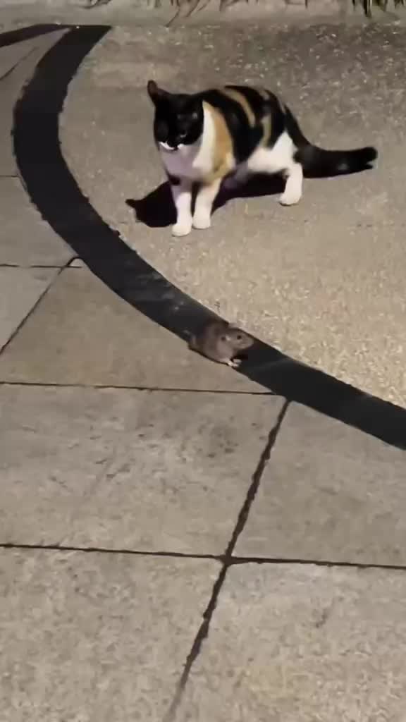 @Funny