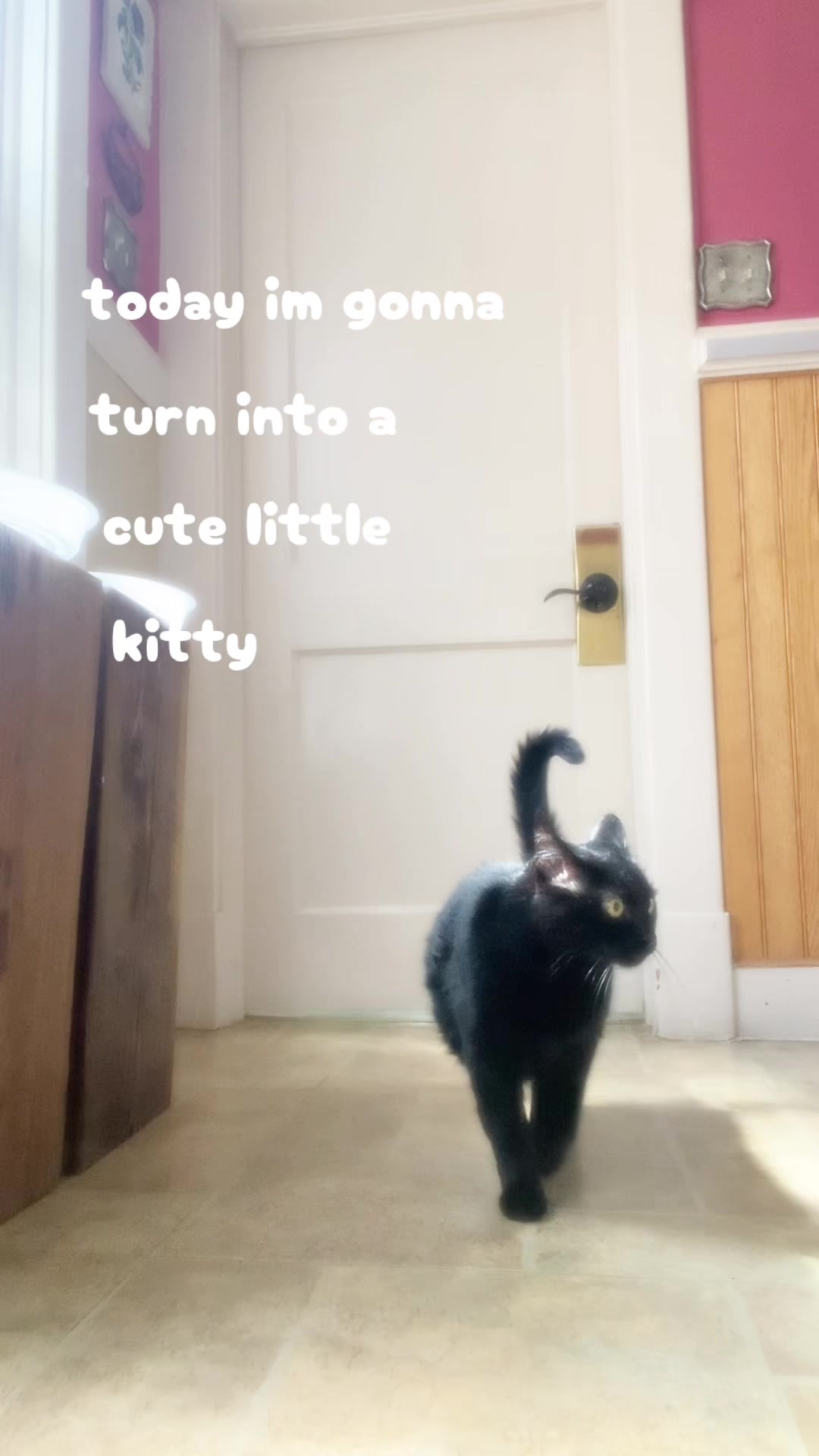 @princesskittygirl_