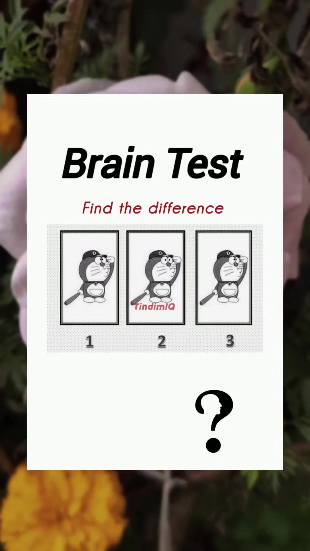 @Tindim-IQ