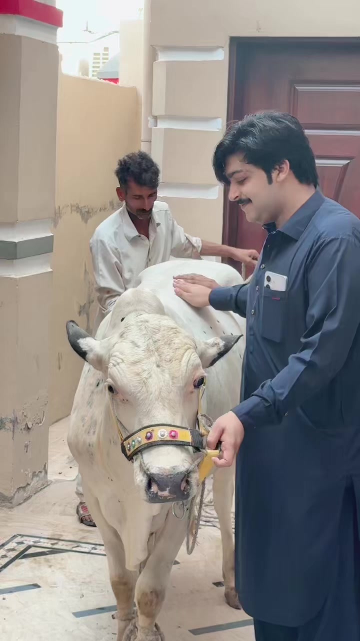 @Khawja Noman Asim