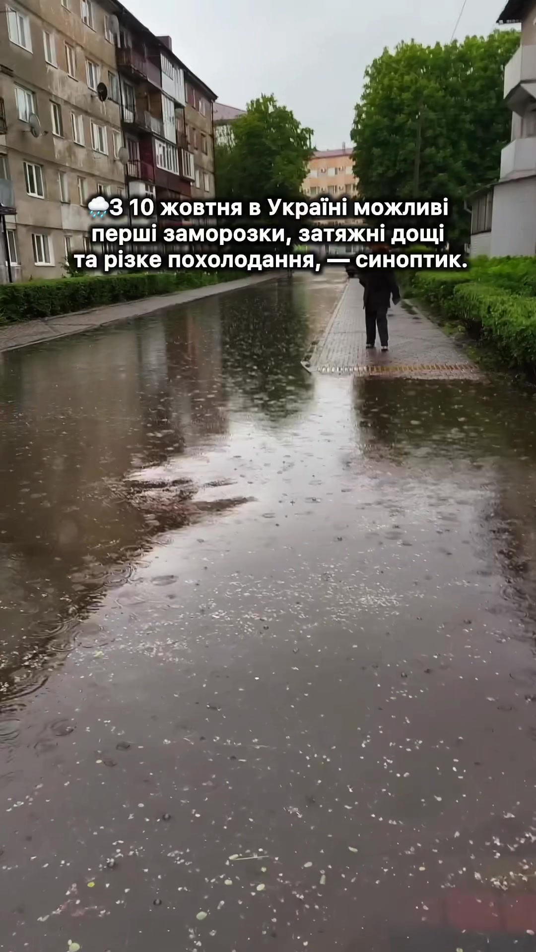 @Твій Володимир🇺🇦