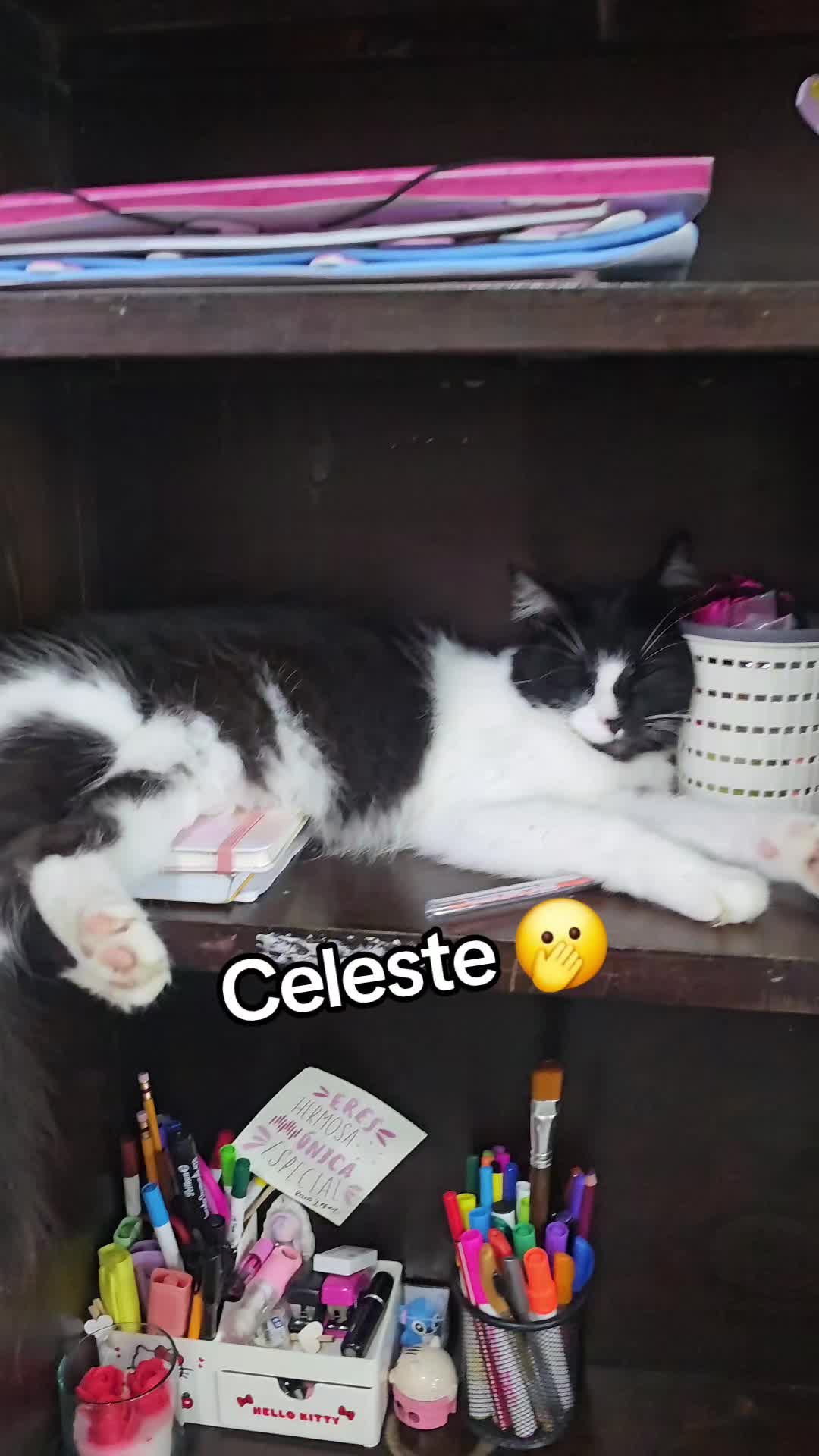 @vivian vargas