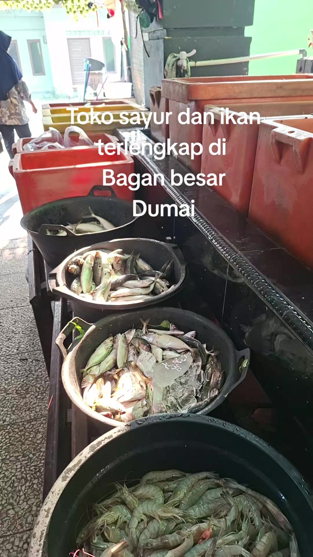 @Naga jaya