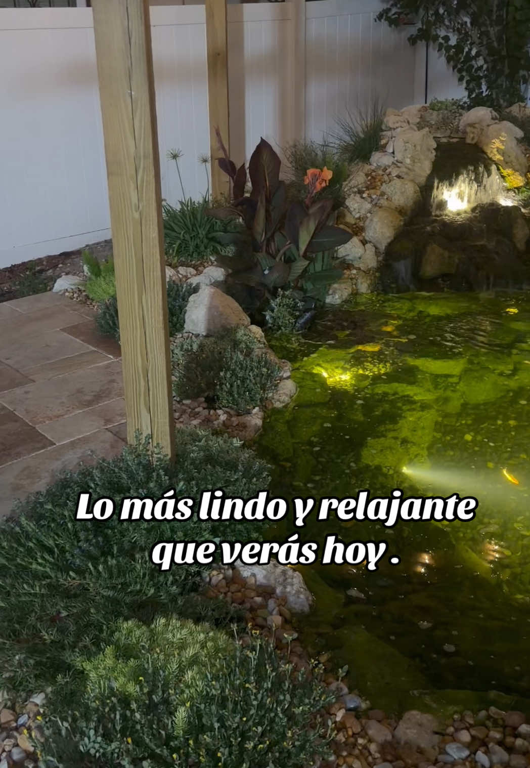 @Jorge Rodriguez