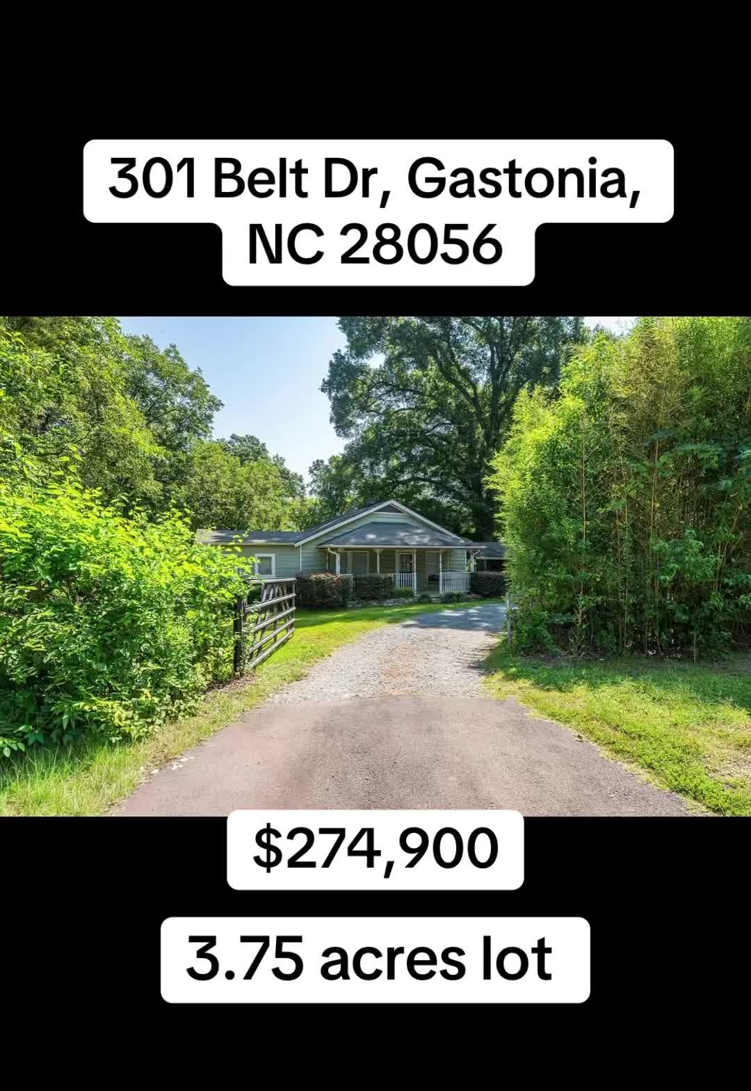 @🥇 Haydee Trejo | NC Realtor