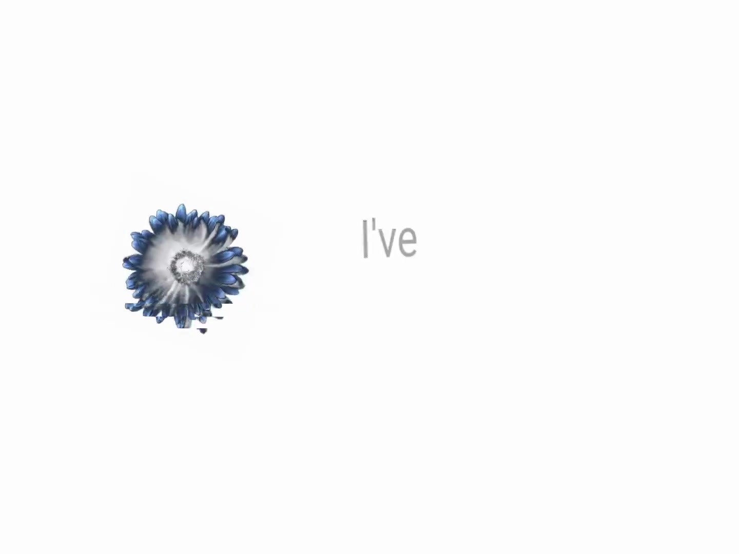 @︎ ︎ ︎ ︎ ︎︎︎︎︎︎︎︎︎︎︎Jed ︎ ︎ ︎ ︎