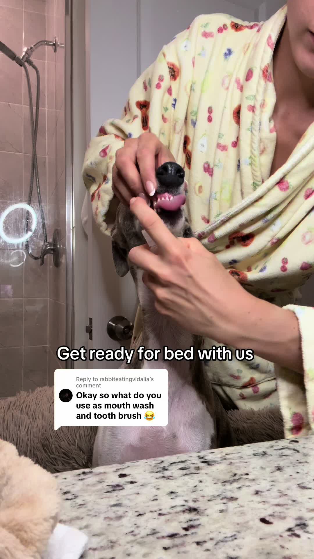 @Kayce Dog🤪🩷