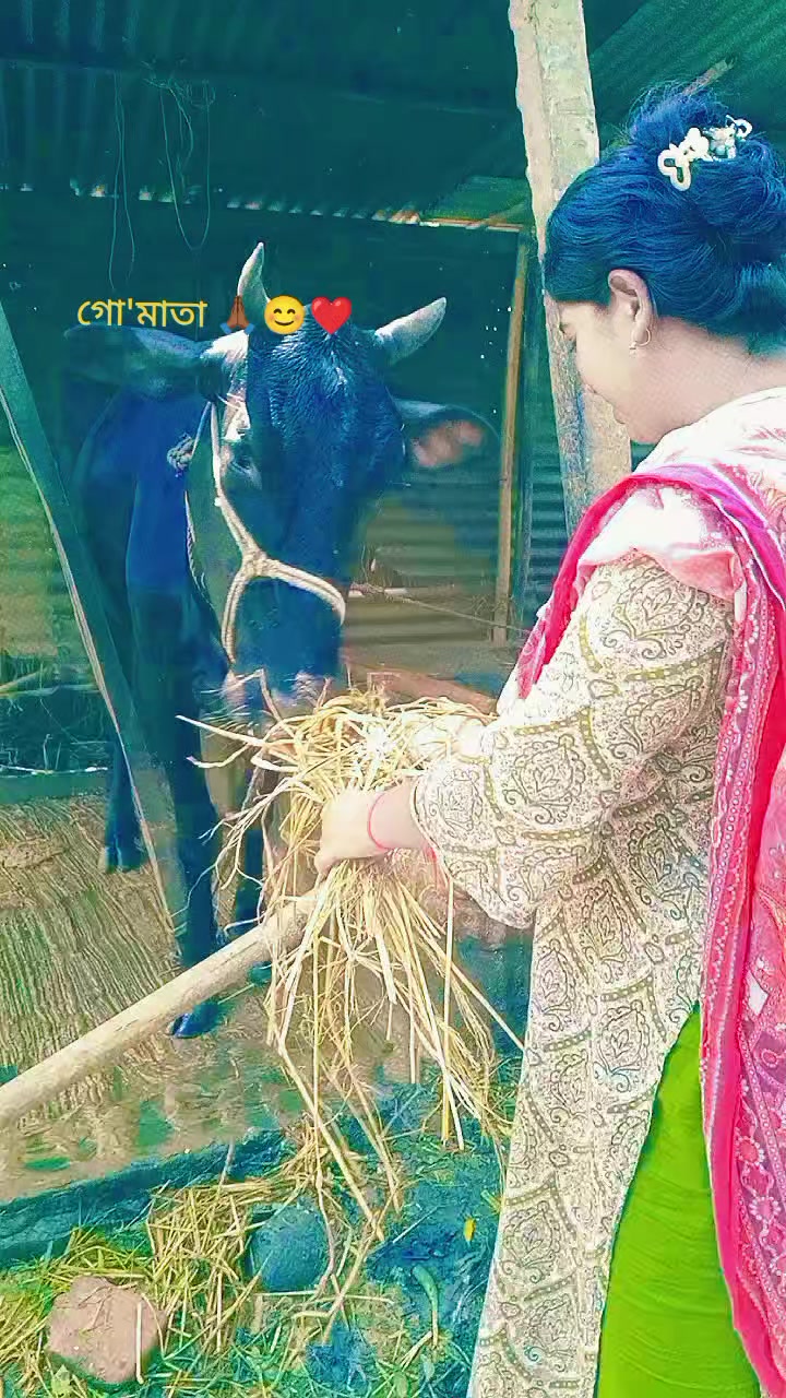 @Sompa Bhowmick