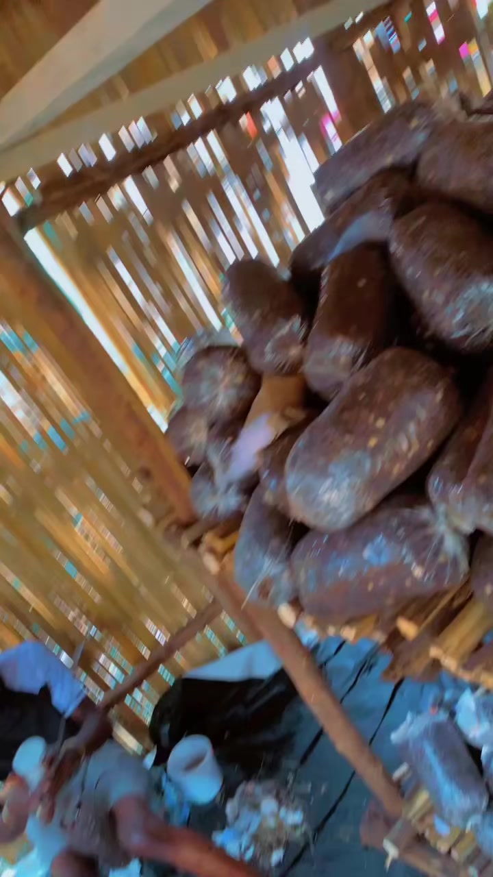 @BLESSED AGRICULTURAL MUSHROOM